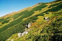 Zbocze Ornaka