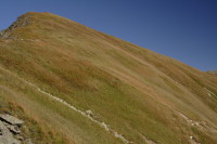 Lopata