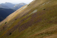 Zbocze Ornaka