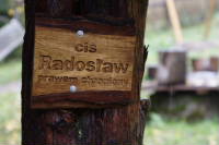 Cis Rados3aw