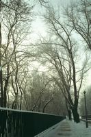 Zima ul. Reymana