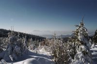 Widok na Tatry