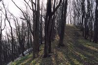 Na Cergowej