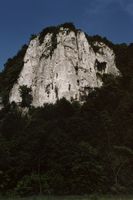 Sokolica