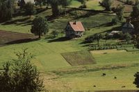 Widok na dom