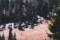 polana