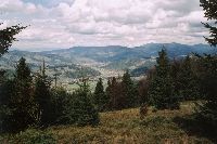 Widok
