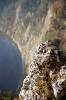Dunajec z Sokolicy