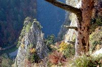 Dunajec
